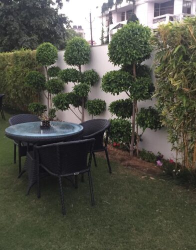 WhatsApp Image 2025-11-17 at 11.06.02 PM (1)