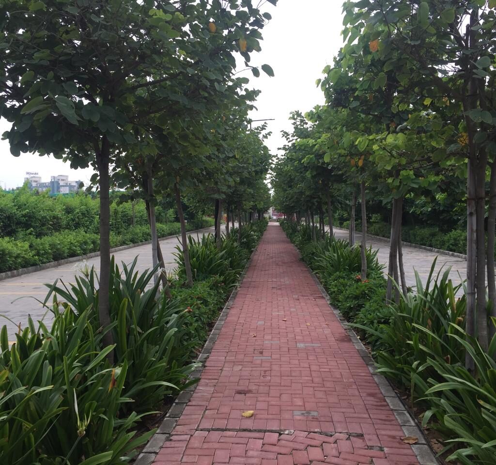 WhatsApp Image 2025-11-17 at 11.08.11 PM (5)