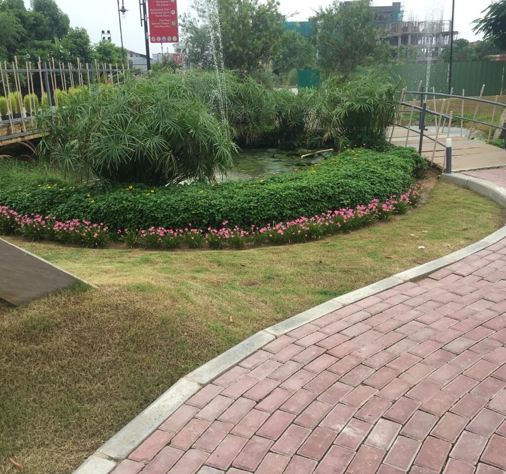 WhatsApp Image 2025-11-17 at 11.08.11 PM (8)