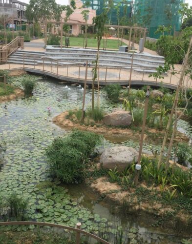 WhatsApp Image 2025-11-17 at 11.10.59 PM (4)