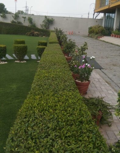 WhatsApp Image 2025-11-13 at 3.54.05 PM (1)