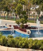 Best Garden Edging and Border Ideas