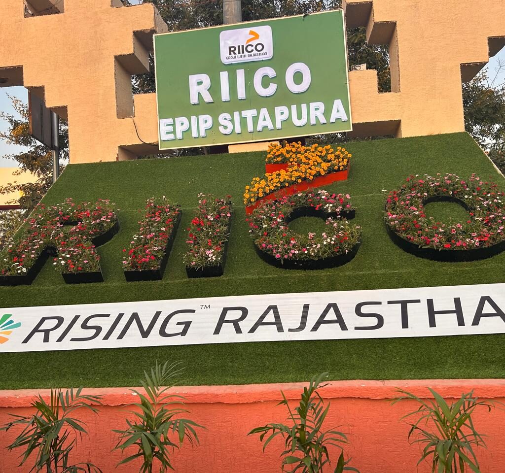 WhatsApp Image 2025-11-15 at 7.29.01 PM